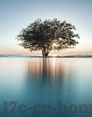 91加勒比麻豆精品-行走在加勒比海的浪漫传说——91加勒比麻豆精品之旅的独特体验