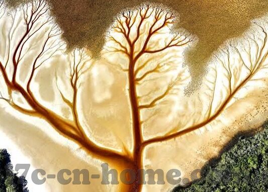 91制片厂果冻传媒在线-91制片厂与果冻传媒，在线影视新视界探索