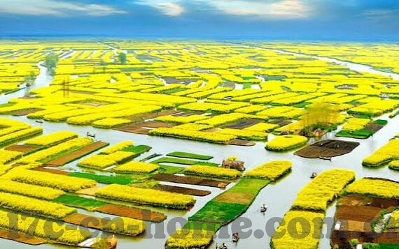 麻豆短视频app官网安卓下载-解锁创新视觉体验，麻豆短视频app 安卓版下载指南