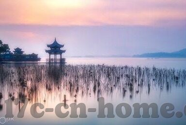 麻豆视频播放-解锁娱乐新视角，探索麻豆视频播放的多样性和魅力