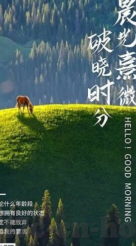 麻豆视频 在线-线上观赏新体验，麻豆视频平台的独特魅力探索