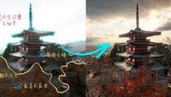糖心直播app官方版-糖心直播，重塑直播体验的官方平台
